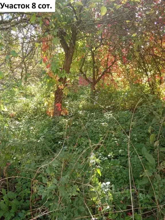 Продаю дом 99.5м Московская область, Мытищи городской округ, ... - Фото 11