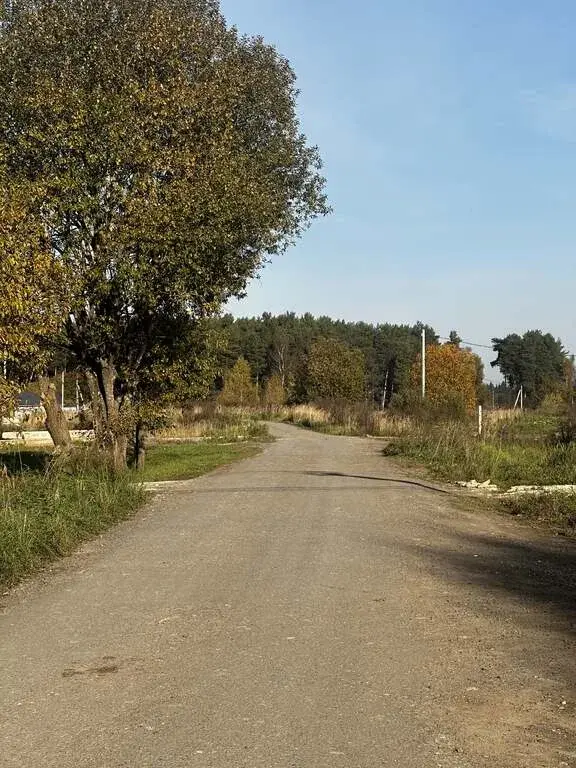 15 соток в п. свх. Буденновец ул. Дубковая - Фото 8