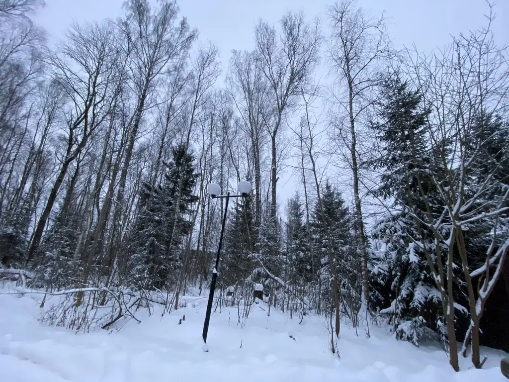Лесной Участок, 25 соток, кп Финская Деревня, г. Чехов, свет оплачен - Фото 1