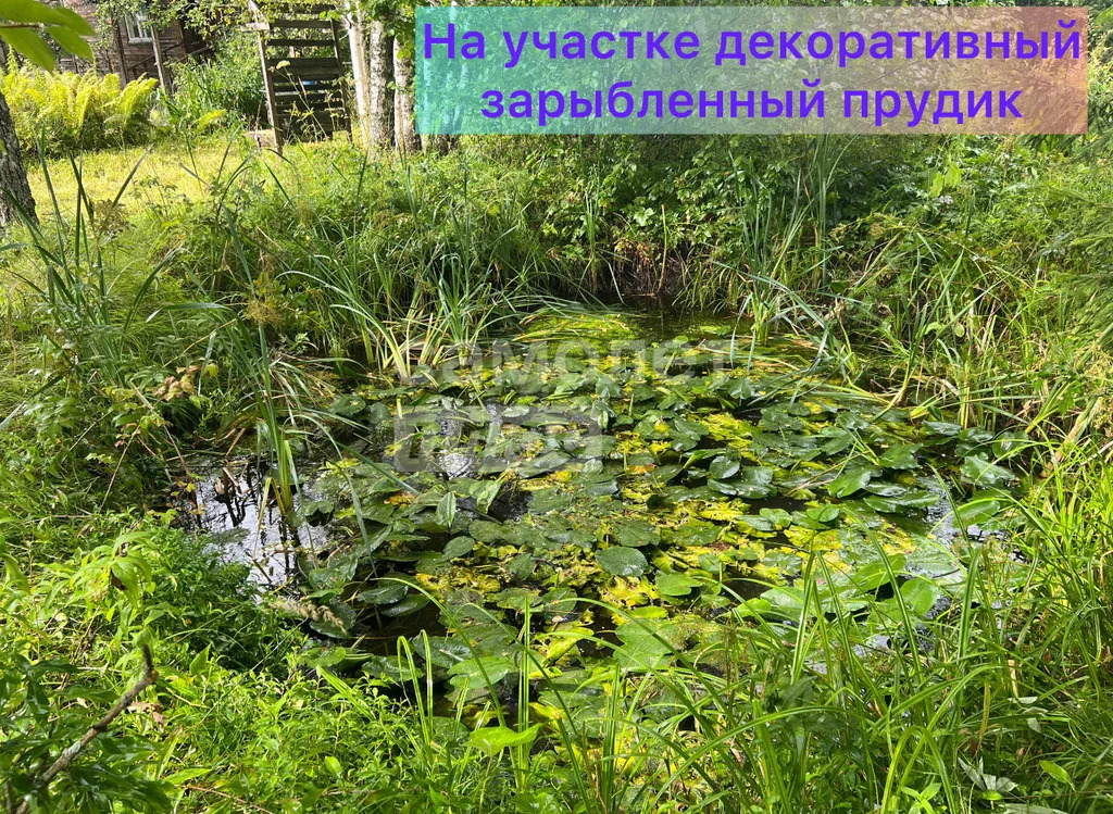 Продажа дома, Талдомский район - Фото 35