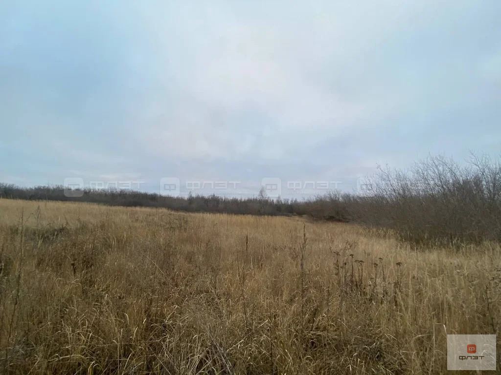 Продажа участка, Теньки, Камско-Устьинский район, ул. Рубцова - Фото 2