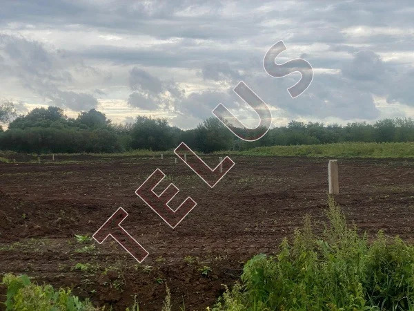 МО, Богородский г.о., Промышленный парк, Земельный участок 6,76 га ... - Фото 4