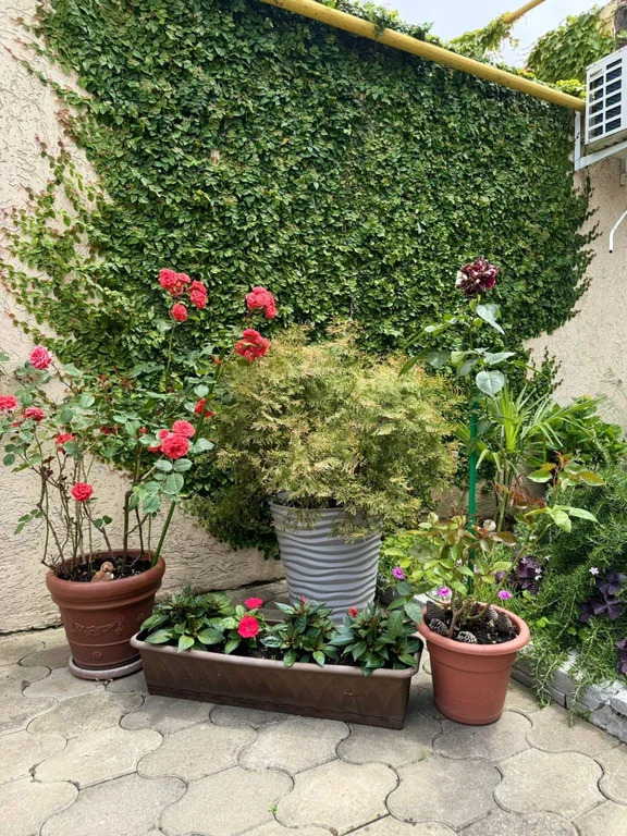 Сдам посуточно 1-комн. квартиру 20 м2. - Фото 13