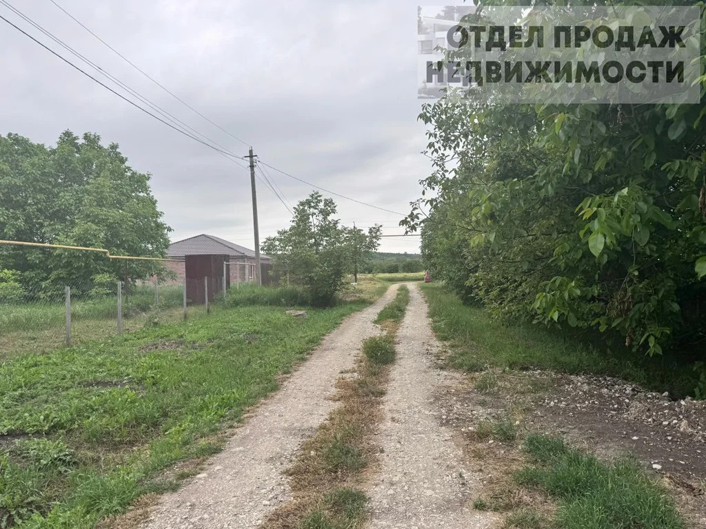 Участок - Фото 7