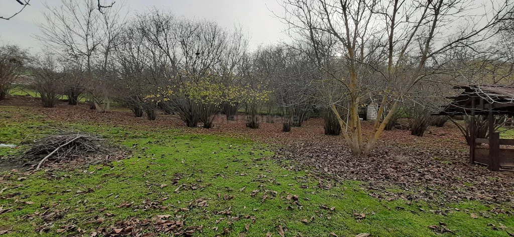 Продажа участка, Высокое, Бахчисарайский район, ул. Куйбышевская - Фото 6