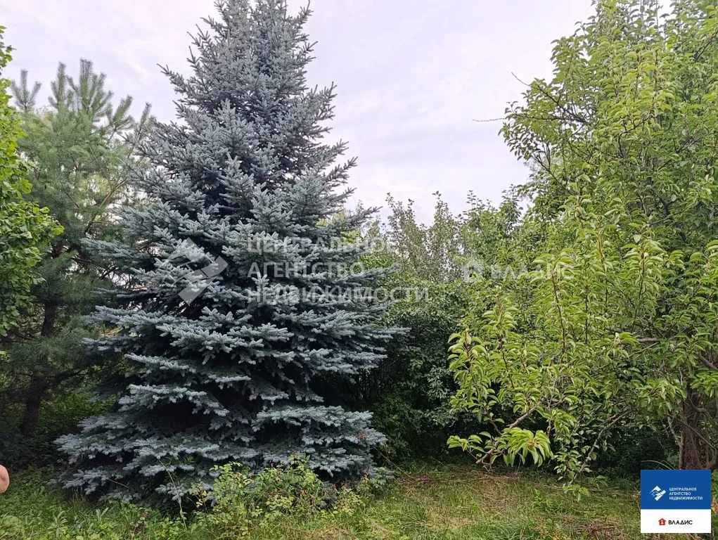 Продажа дома, Старожилово, Старожиловский район, ул. Почтовая - Фото 15