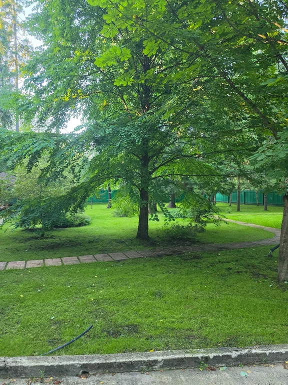 Продажа дома, Трудовая, Мытищинский район, Садовый проезд - Фото 8