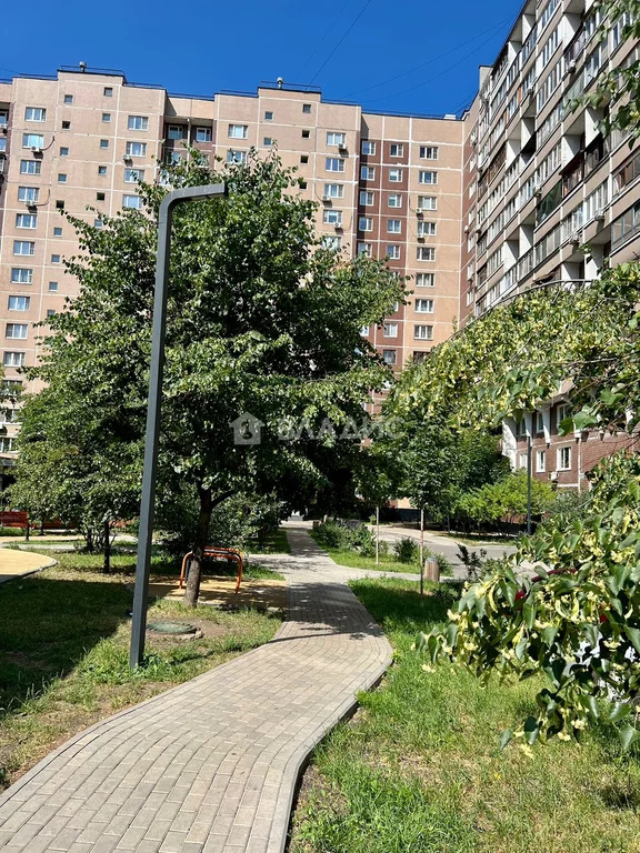 Москва, Новочеркасский бульвар, д.46, 1-комнатная квартира на продажу - Фото 19