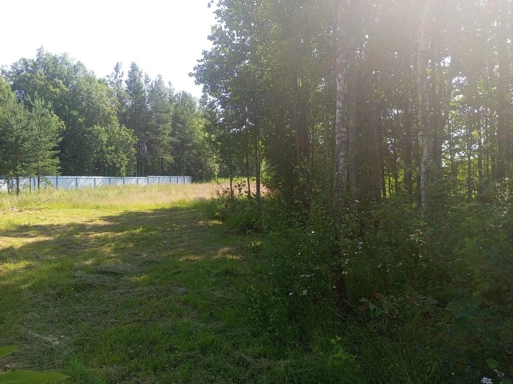 Продается земельный участок 23 сот. - Фото 14