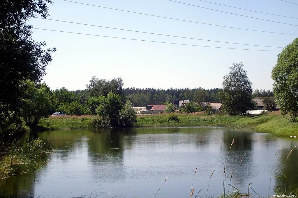 Ивановка пруд.