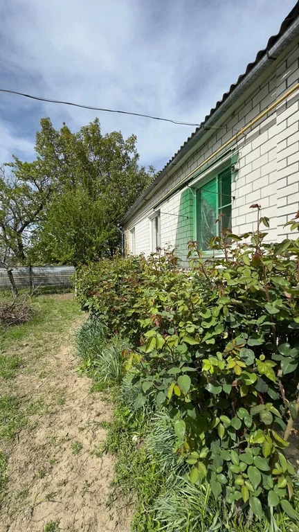 Продажа дома, Абинск, Абинский район, ул. Коллективная - Фото 18