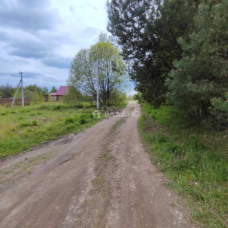 Судогодский район, деревня Богданцево,  земля на продажу - Фото 9
