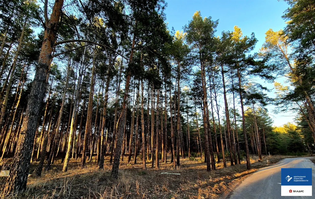 Продажа участка, Рязанский район - Фото 1