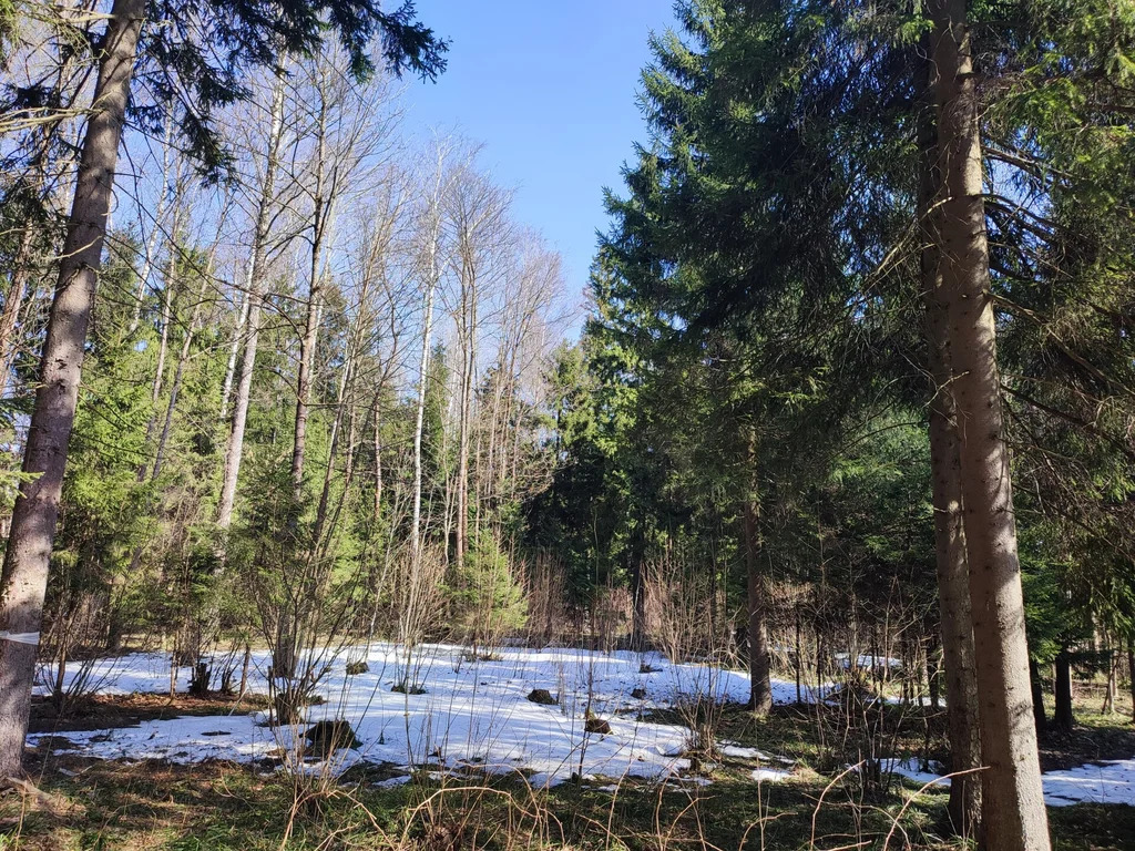 Продажа участка, НИИ Радио, Одинцовский район, Тыльная улица - Фото 5