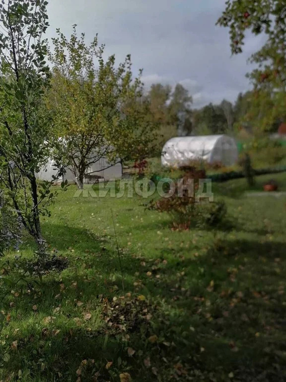 Продажа дома, Новосибирск, нст Черемушки - Фото 17