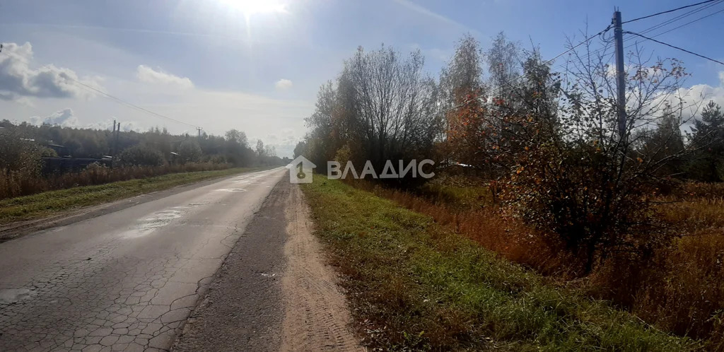 Суздальский район, село Баскаки,  земля на продажу - Фото 6