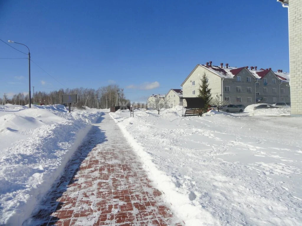 Продажа квартиры, Октябрьский, Мошковский район, ул. Локтинская - Фото 9