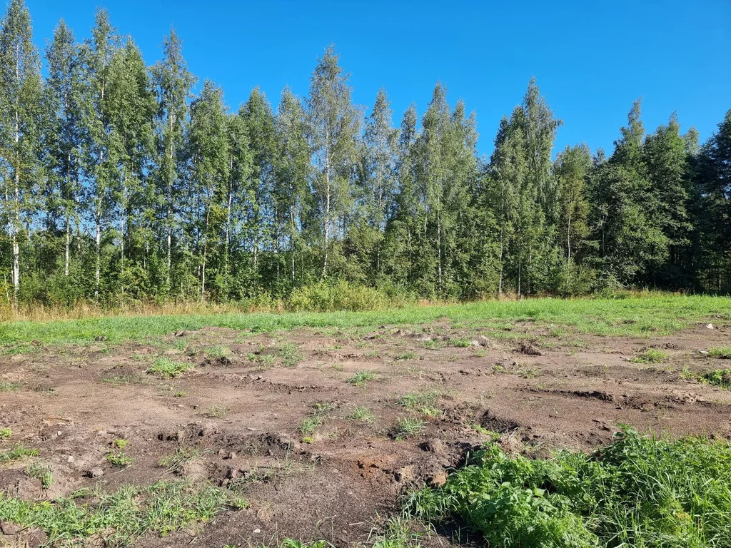 Продажа участка, Большие Пороги, Всеволожский район - Фото 10