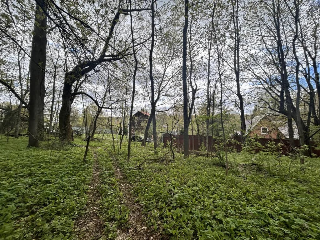 Продажа участка, Сокольники, Дмитровский район - Фото 7