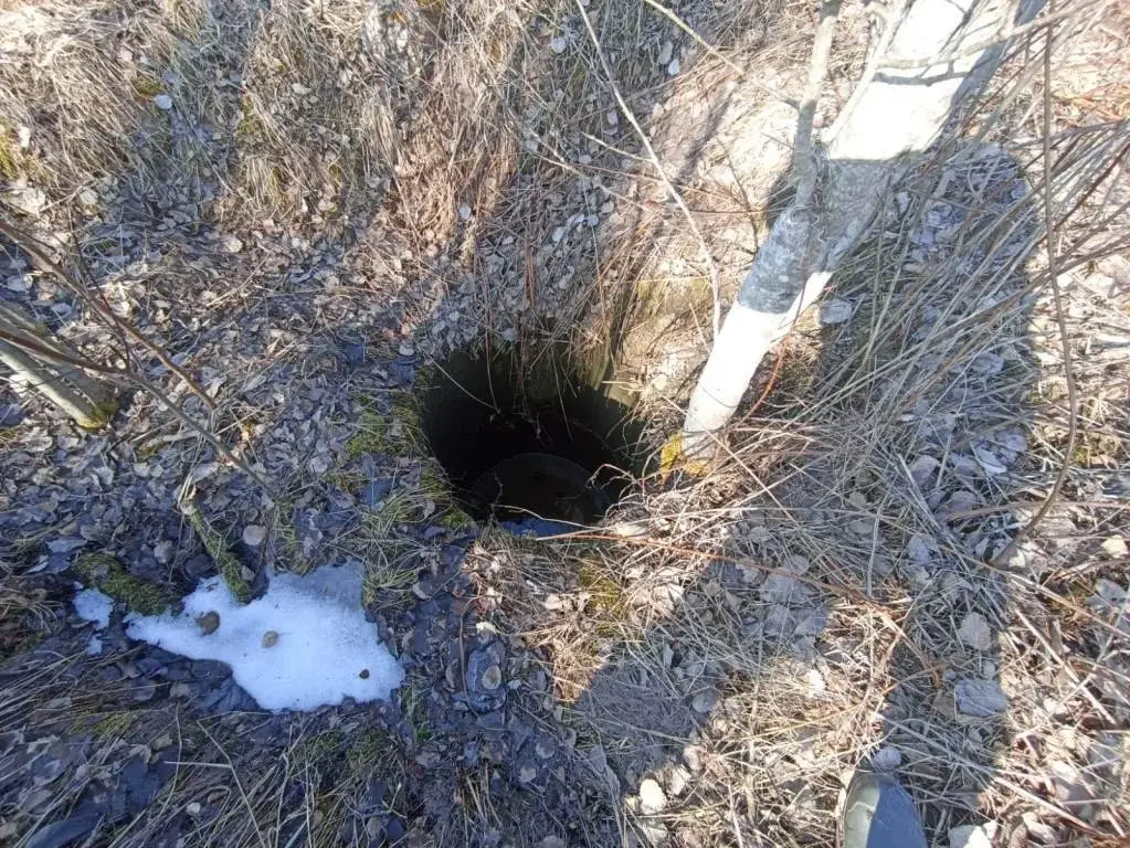 Участок в 100 м от озера Губановское - Фото 12