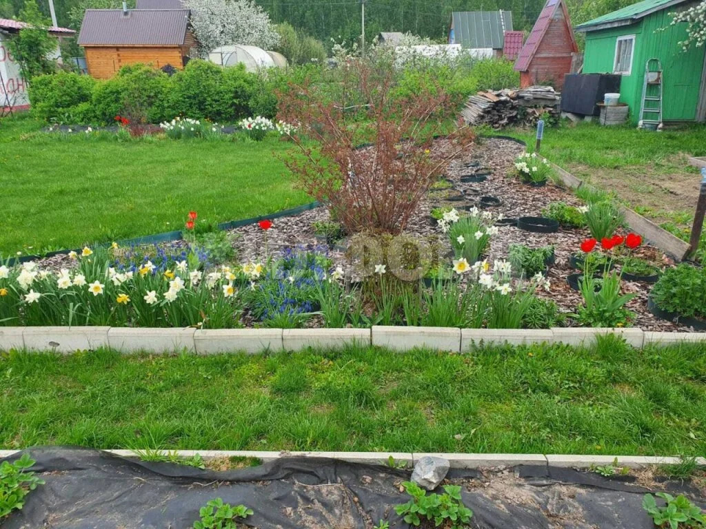 Продажа дома, Новосибирск - Фото 7