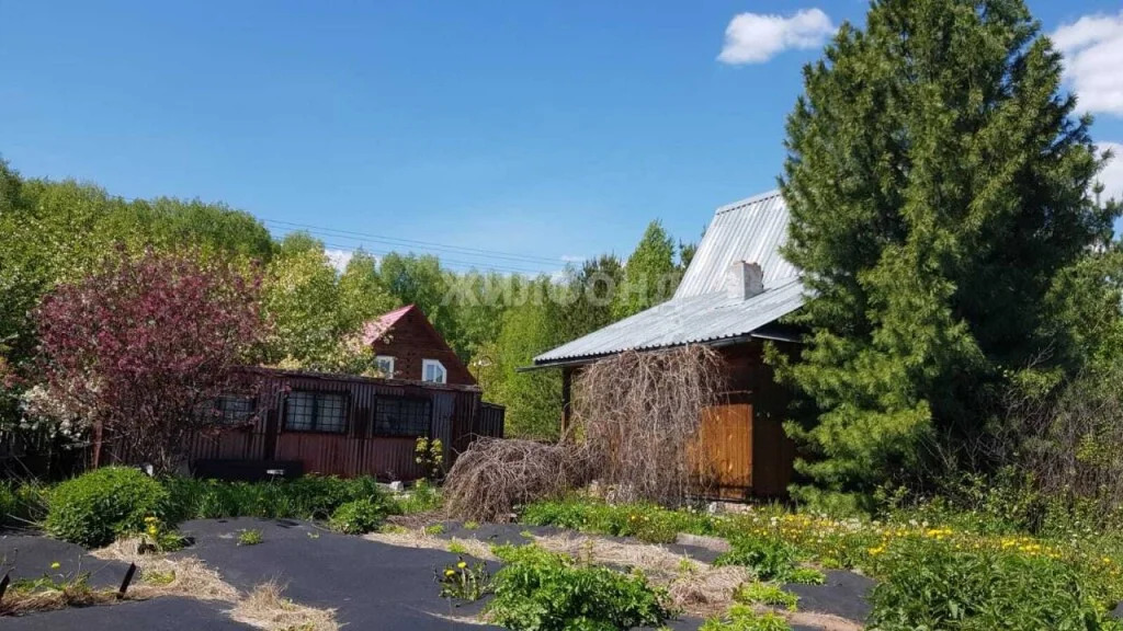 Продажа дома, Восточная, Тогучинский район - Фото 0