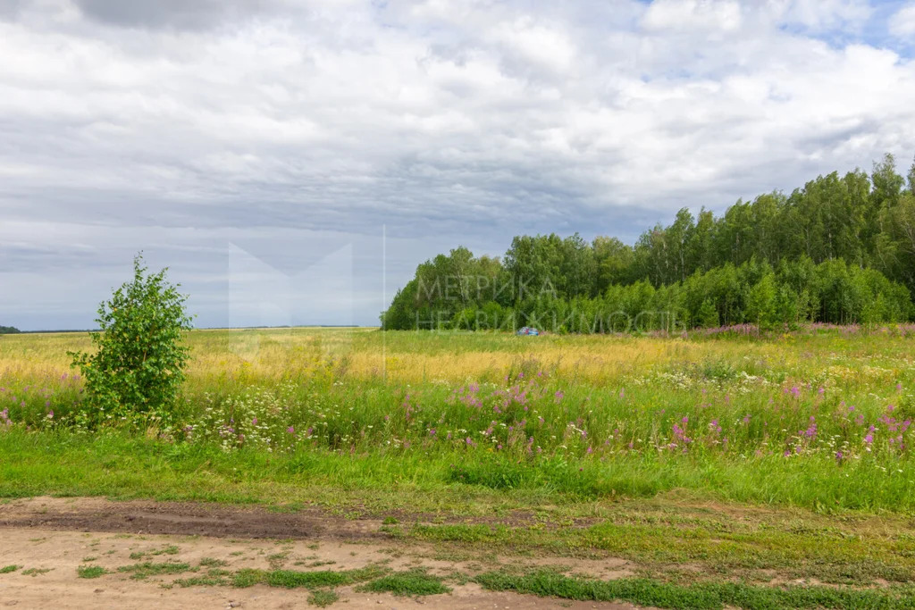 Продажа земельного участка, Тюменский район, Тюменский р-н - Фото 3