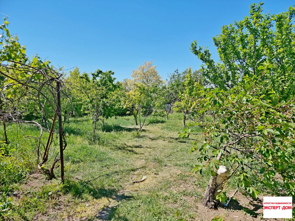 Продажа дома, Николаевка, Неклиновский район, ул. Советская - Фото 37