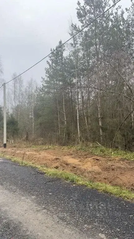 Лесные участки в Истринском районе! - Фото 9