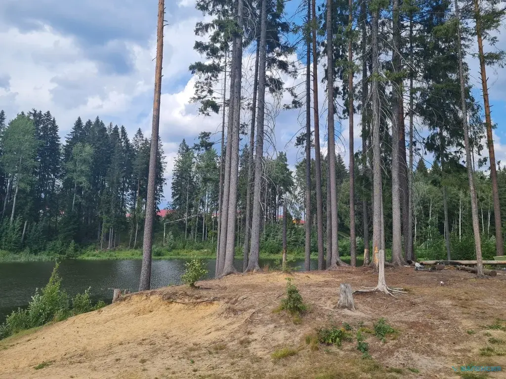 Продажа дома с земельным участком вблизи леса и озера Первомайское п. - Фото 7
