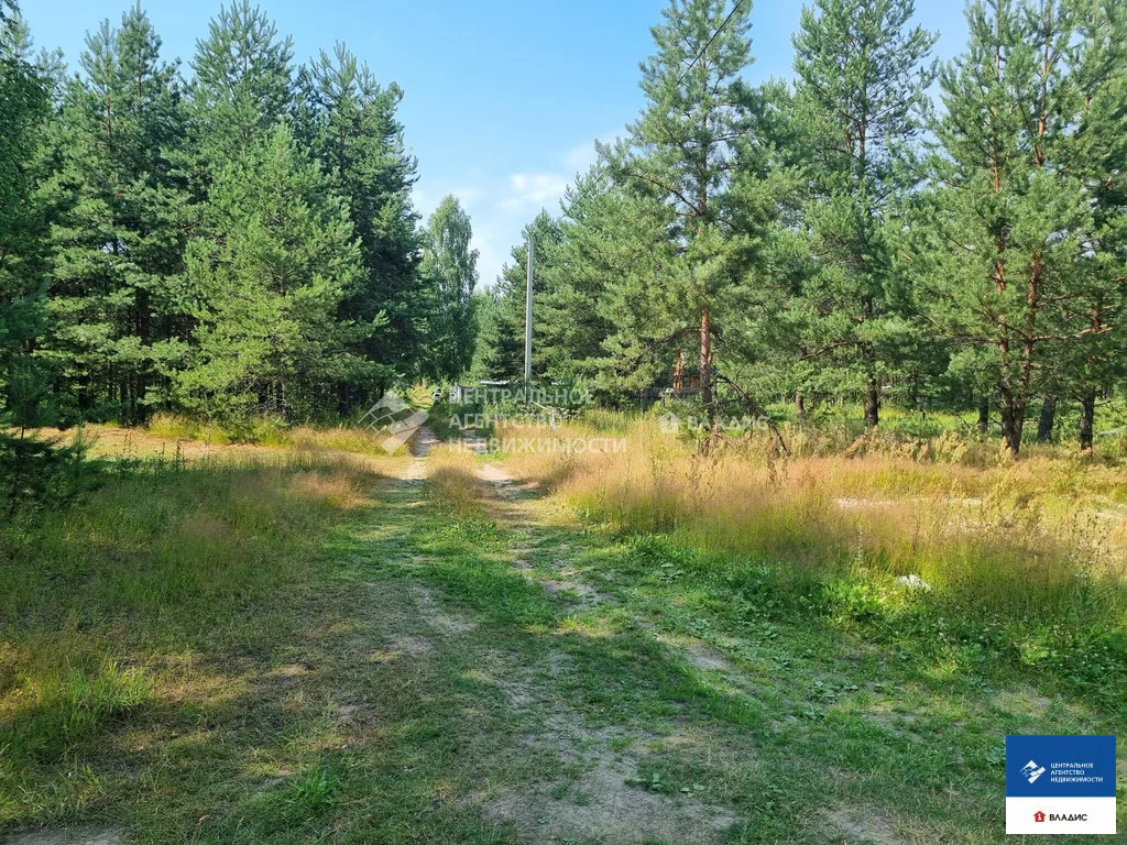 Продажа участка, Спасский район - Фото 6