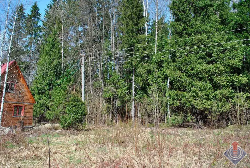 Участок у леса в СНТ Движенец, д. Савеловка, Наро-Фоминский район - Фото 3