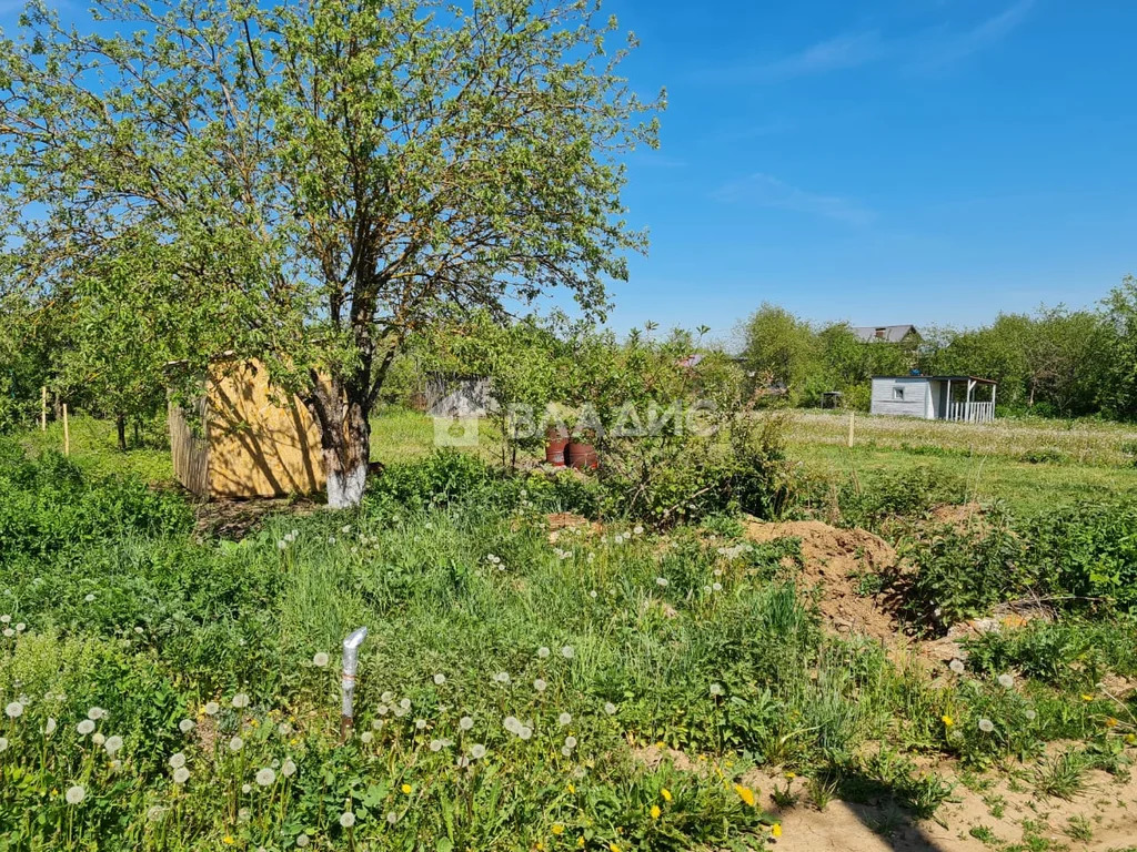 Суздальский район, село Сновицы, Сиреневая улица,  дом на продажу - Фото 3