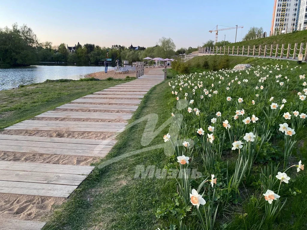 Аренда квартиры, Красногорск, Красногорский район, Липовой Рощи ул. - Фото 15