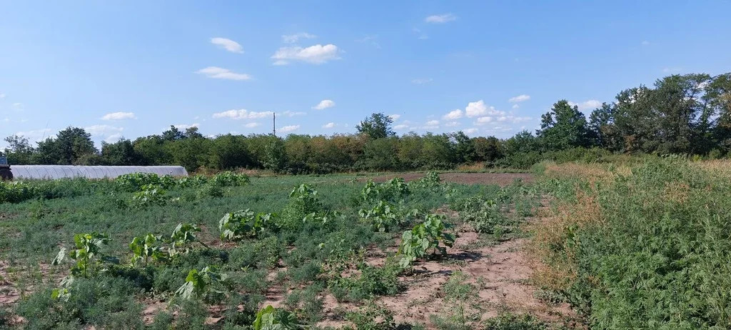 Продажа участка, Михайловское, Северский район, ул. Садовая - Фото 1