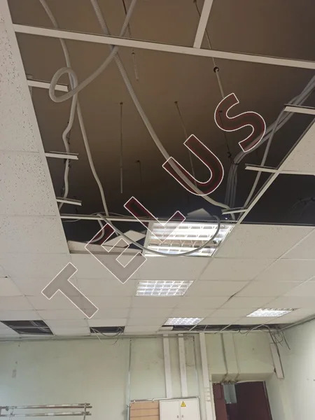 м. Молодёжная, Сколковское ш., 2500 м2, Здание (ном. объекта: 5255) - Фото 7