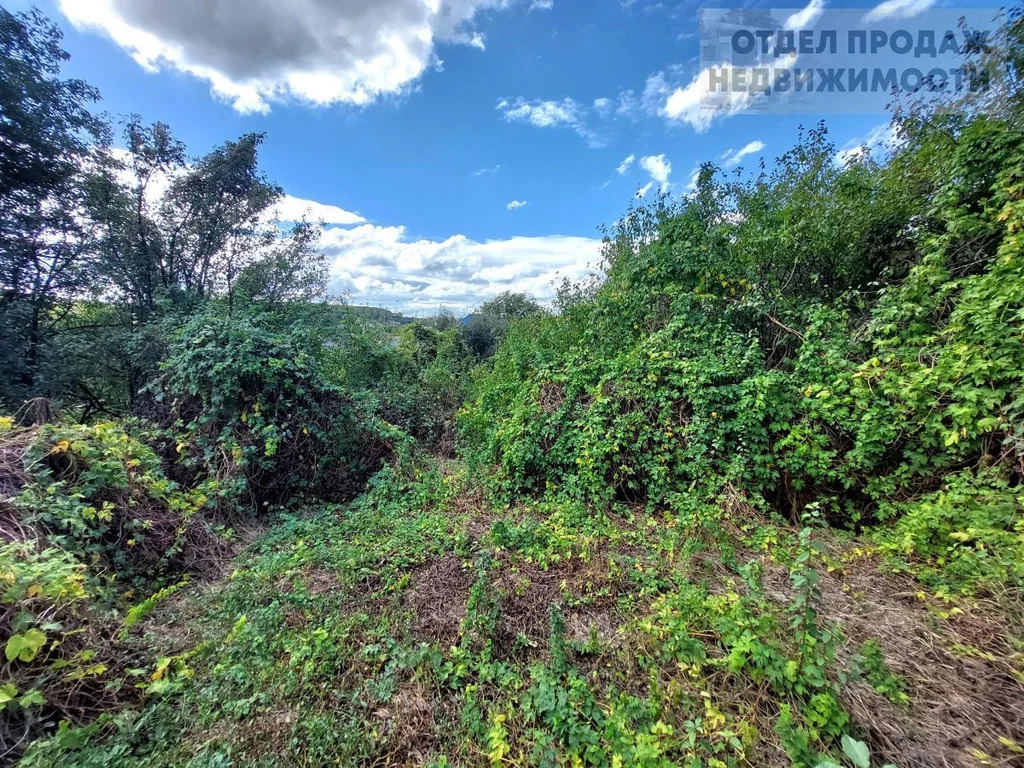 Объект 538392 - Фото 11