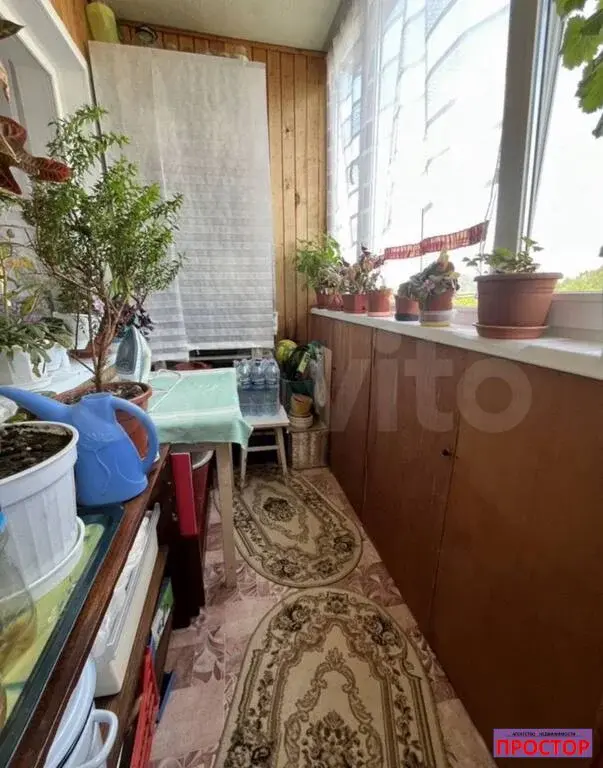 3-к. квартира, 57 м, 3/5 эт. - Фото 4