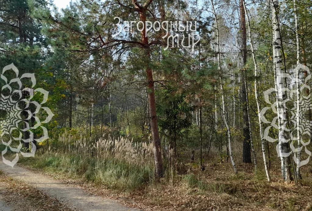 Продам участок, Дмитровское шоссе, 85 км от МКАД - Фото 8