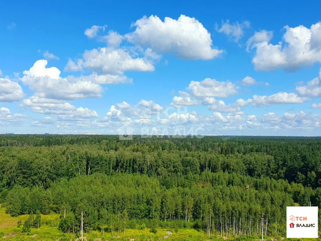 Продажа квартиры, Балашиха, Балашиха г. о., Кольцевая улица - Фото 25