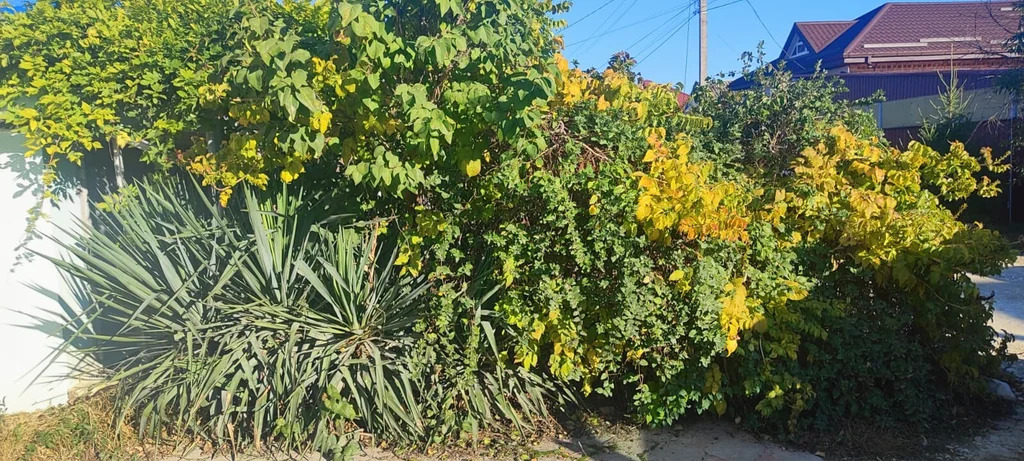 Продажа дома, Крымск, Крымский район, ул. Тургенева - Фото 29