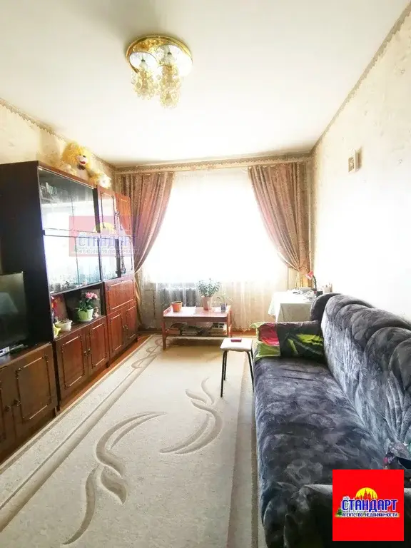 Отличная Трешка Архангельская 29В - Фото 6