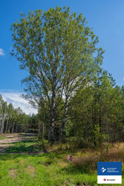 Продажа участка, Ушмор, Клепиковский район - Фото 2