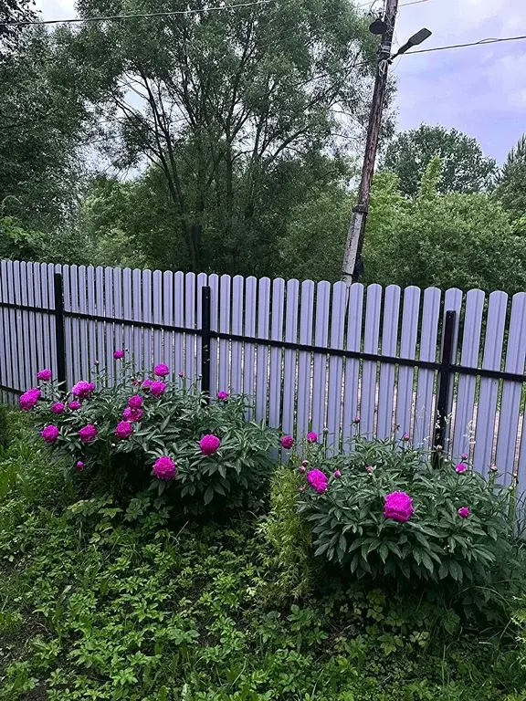 Дача в деревне Горки - Фото 10