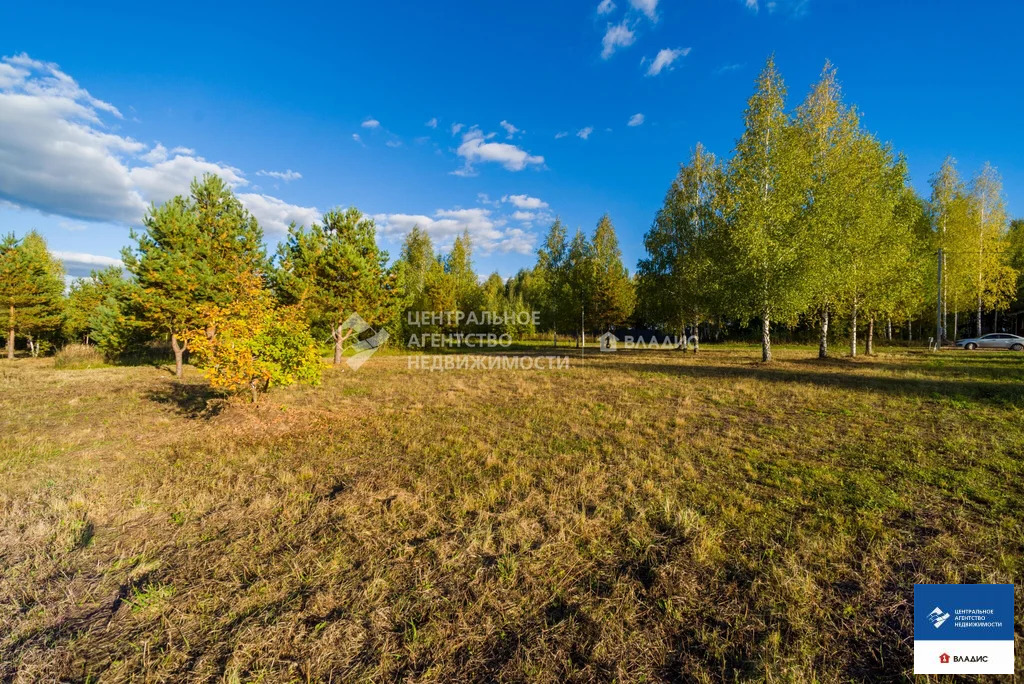 Продажа участка, Рязанский район - Фото 10