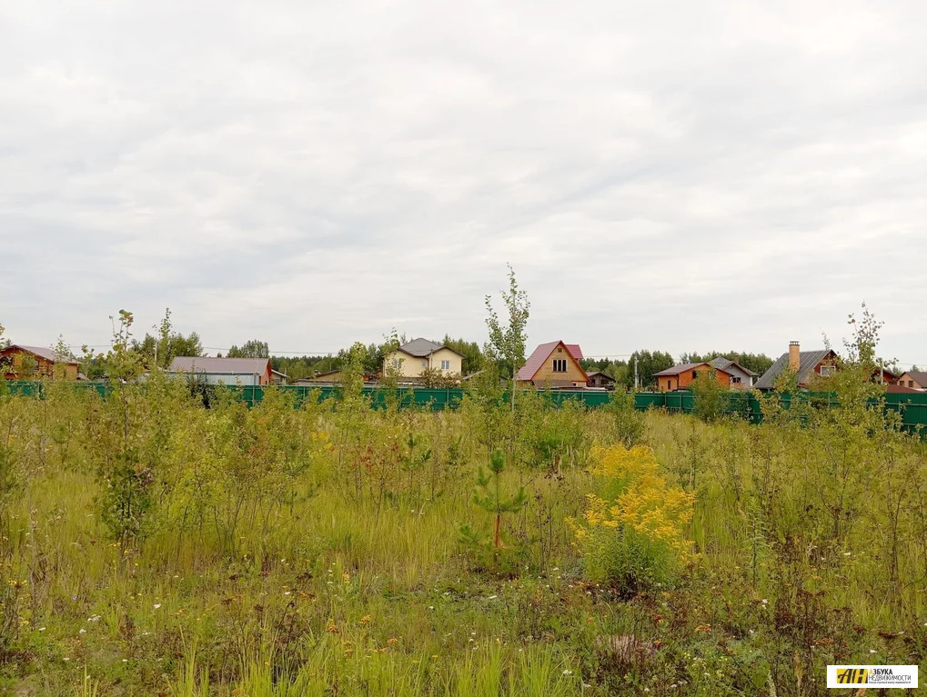 Продажа участка, Воскресенское, Богородский г. о. - Фото 2