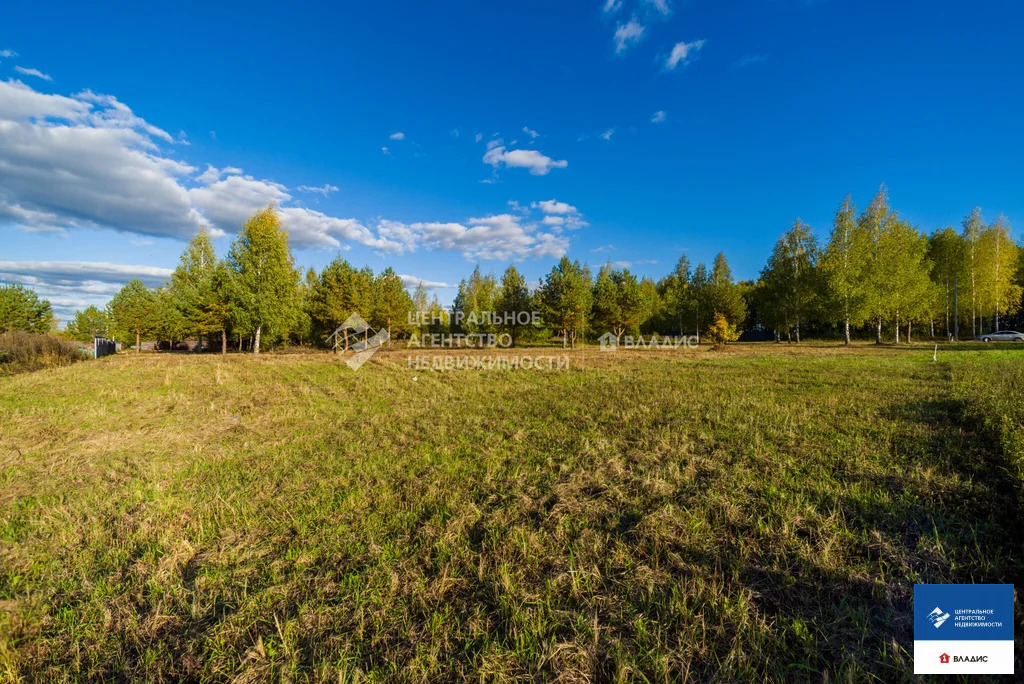 Продажа участка, Рязанский район - Фото 9