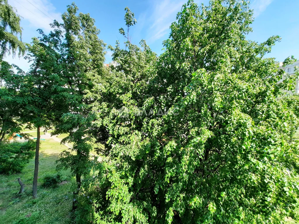 городской округ Владимир, улица Верхняя Дуброва, д.28А, 1-комнатная ... - Фото 24