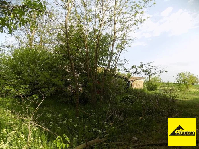 Продажа участка, Симоновка, Ейский район, ул. Мира - Фото 4