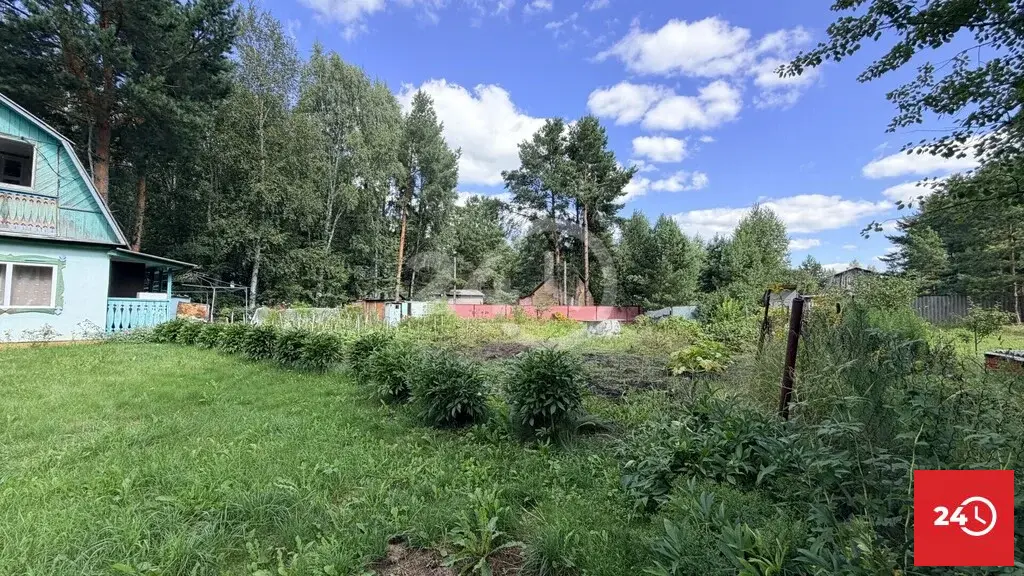 В продаже дача в лесу СНТ Сосенки - Фото 13
